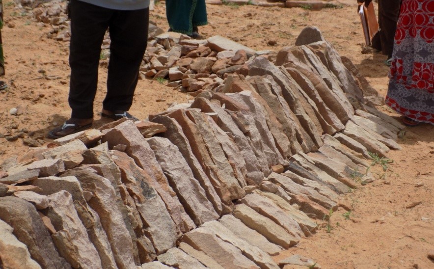 Cordon pierreux modèle Ancré