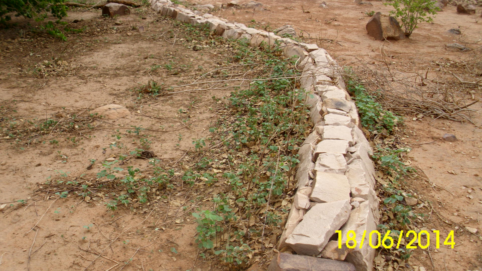 Cordon pierreux modèle Couvert à SonghoTanga  (Doucombo)